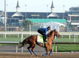 Taiba is attempting to be only the third horse to win the Kentucky Derby without running as a 2-year-old. Columnist and morning line author Jon White likes his chances. (Image: Churchill Downs/Coady Photography)