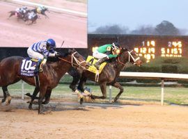 Un Ojo (back in yellow) disposed of Ethereal Road to win the Grade 2 Rebel Stakes in March.  Un Ojo will miss the Preakness Stakes with the same bone 
 bruise that kept him out of the Kentucky Derby. (Image: Coady Photography)