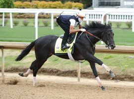 Morning-line Kentucky Derby favorite Zandon meets all the key speed barometers for a Derby champion. (Image: Churchill Downs/Coady Photograpy