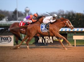 Americanrevolution won the Grade 1 Cigar Mile at Aqueduct in his last start. He headlines the Blame Stakes field, the penultimate leg of this week's Cross Country Pick 5. (Image: Coglianese Photos)