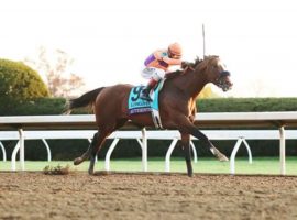 Authentic won the 2020 Breeders' Cup Classic to capture a $1 million bonus for winning that race, the Kentucky Derby and the Haskell Stakes. He is the last horse to win this bonus, offered again by Monmouth Park for winning three marquee races. (Image: Keeneland/Coady Photography)