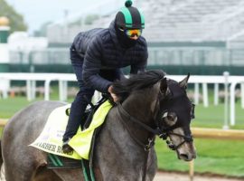 Barber Road, seen here working out before the Kentucky Derby, gets Eclipse Award-winning jockey Joel Rosario for Saturday's 154th Belmont Stakes. (Image: Coady Photography)
