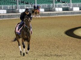 Echo Zulu is the prohibitive 3/5 favorite to rebound from her fourth in the Kentucky Oaks with a victory in the Grade 1 Acorn Stakes Saturday at Belmont Park. (Image: Chad B. Harmon)