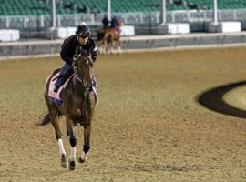 Echo Zulu is the prohibitive 3/5 favorite to rebound from her fourth in the Kentucky Oaks with a victory in the Grade 1 Acorn Stakes Saturday at Belmont Park. (Image: Chad B. Harmon)
