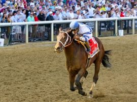 Ethereal Road spent part of his Preakness Saturday winning the Sir Barton Stakes in his last start. A hoof injury will keep him out of Saturday's Belmont Stakes. (Image: Chad B. Harmon)
