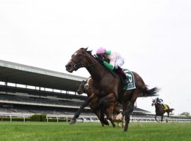 Highland Chief captured last month's Grade 1 Man o' War as the 19/1 longest shot in the field. He'll have his hands full at 6/1 repeating in a deep, experienced Manhattan field at Belmont Park Saturday. (Image: Coglianese Photos)