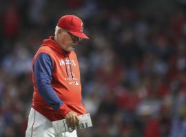 The Los Angeles Angels have fired manager Joe Maddon after the team suffered through a 12-game losing streak. (Image: Meg Oliphant/Getty)