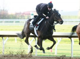 Kentucky Oaks contender Kathleen O worked out at Keeneland, where she could run later this year at Keeneland's Fall Meet. (Image: Coady Photography)