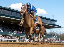 Champion 3-Year-Old Malathaat won her lone 2022 race: the Grade 3 Doubledogdare at Keeneland in April. She is the 5/2 second choice for Saturday's Grade 1 Ogden Phipps at Belmont Park. (Image: Mathea Kelly)