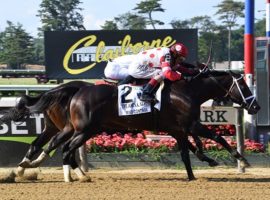 Mind Control's first of two wins last year came in the Nerud Stakes at Belmont Park. He's expected to be one of the contenders in the Grade 3 Salvator Mile at Monmouth Park. That's the final race in this week's Cross Country Pick 5. (Image: Coglianese Photos/Susie Raisher)