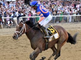 Irad Ortiz Jr. aboard Mo Donegal punctuates their Belmont Stakes victory Saturday at Belmont Park. Mo Donegal's victory gave trainer Todd Pletcher his fourth Belmont Stakes title. (Image: Chelsea Durand/NYRA Photo)