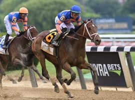 Mo Donegal (6) beat his stablemate, filly Nest, to win Saturday's Belmont Stakes and give trainer Todd Pletcher his fourth Belmont Stakes. Pletcher's horses went 1-2 in the season's final Triple Crown race. (Image: Coglianese Photos)