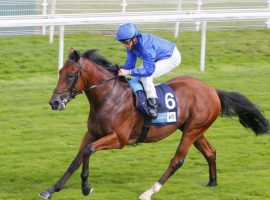Naval Crown won a nail-biting Platinum Jubilee Stakes at 33/1. The victory helped clinch Godolphin the Royal Ascot owner title. (Image: Godophin)