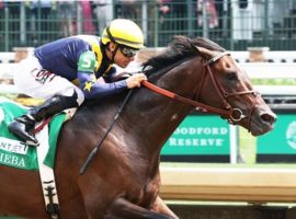 Olympiad is 4-for-4 in 2022, with this solid victory in the Grade 2 Alysheba at Churchill Downs on the ledger. He is expected to contend for the Grad3 2 Stephen Foster title Saturday. (Image: Coady Photography)