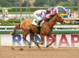 Santa Anita Park's training titlist Phil D'Amato sends Rijeka out in the Grade 3 San Juan Capistrano, Santa Anita's traditional closing day feature. Rijeka is one to watch in what could be a $3 million Rainbow Six. (Image: Benoit Photo)