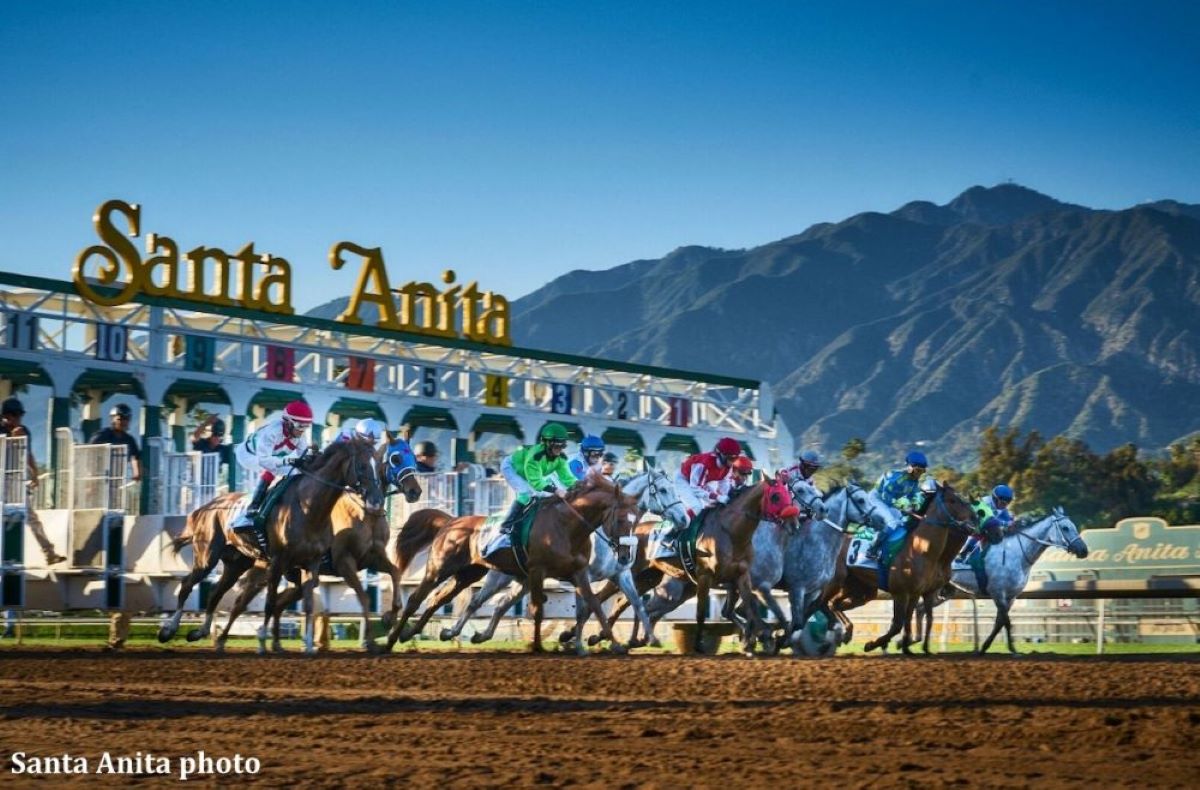 Santa Anita-Safety