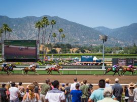Santa Anita offers 26 stakes races -- 15 graded -- during its Autumn Meet that begins Sept. 30. (Image: Benoit Photo)