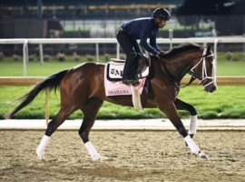 UAE Oaks and 1,000 Guineas winner Shahama seeks to return to the winner's circle after a sixth in the Kentucky Oaks. She is one of the fillies to watch in the Grade 2 Mother Goose Stakes at Belmont Park. (Image: Coady Photography)