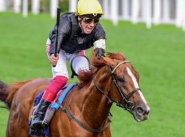 Stradivarius and Frankie Dettori are trying to put a bow on his Royal Ascot success in Thursday's Group 1 Gold Cup. The standout stayer owns three victories in the event. (Image: Mathea Kelley)