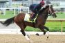 Ohio Derby Provides Derby Disappointments Redemption Opportunity