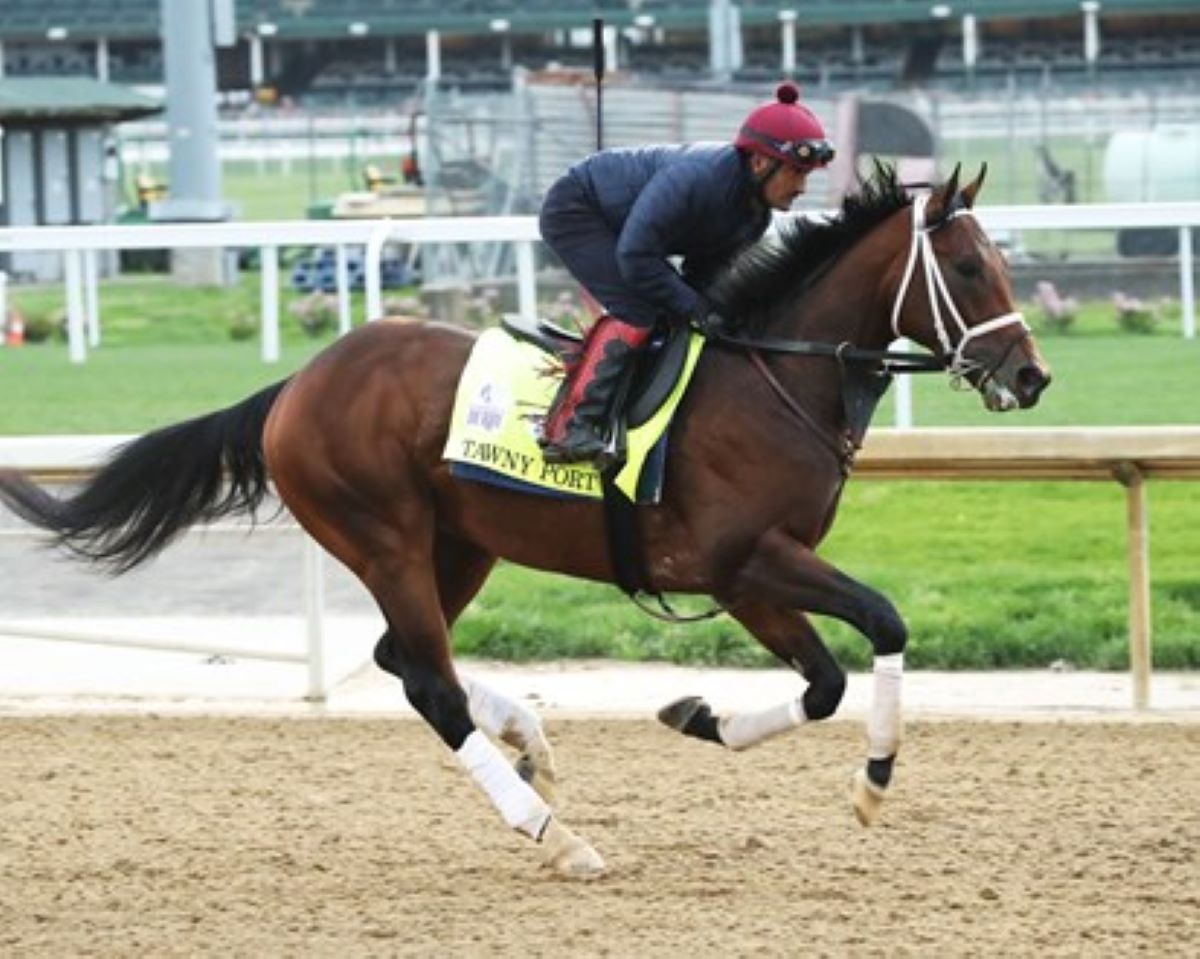 Tawny Port-Ohio Derby