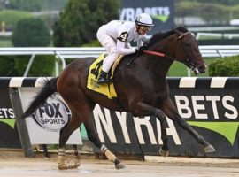 We the People skipped his way to a 10 1/4-length victory in the Peter Pan Stakes. He is the 2/1 morning line favorite for Saturday's 154th Belmont Stakes. (Image: Coglianese Photos)