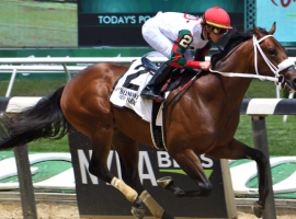 Andiamo a Firenze, a three-quarters brother to multiple graded stakes winner Firenze FIre, is one of the ones to watch in the Grade 3 Sanford Stakes at Saratoga. That race concludes this week's Cross Country Pick 5. (Image: SR Photo/NYRA.com)