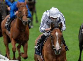 Aidan O'Brien's Broome won the Hardwicke Stakes at Royal Ascot last month. He's O'Brien's hope for a fifth King George VI and Queen Elizabeth Stakes title Saturday at Ascot. (Image: Mathea Kelly)