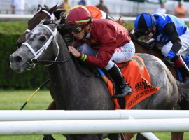 The much-traveled Caravel goes for her third victory in four races under Brad Cox's tutelage in Saturday's Grade 3 Caress Stakes at Saratoga. Last month, she won the Grade 3 Intercontinental at Belmont Park. (Image: NYRA Photo)