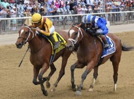 Clairiere (left) finally outdueled Malathaat in the Grade 1 Ogden Phipps last month. It was the first time Clairiere beat her rival in five starts. The two duel again in Sunday's Grade 2 Shuvee Stakes at Saratoga. (Image: Chelsea Durand/NYRA.com)