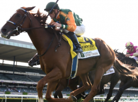 Classic Causeway held off heralded European turf runners Nationls Pride adn Stone Age to win the Grade 1 Belmont Derby at 26/1. It was his first race on grass in his nine-race career. (Image: NYRA Photo)