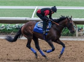 Country Grammer fired a bullet in this July 24 workout at Del Mar. He's the 5/2 favorite for the Grade 2 San Diego Handicap in his first US race in 14 months. (Image: Ernie Belmonte)