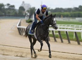 Creative Minister, seen here warming up before the June 11 Belmont Stakes, is the colt to watch in Friday's Curlin Stakes at Saratoga. He finished a non-threatening fifth in the Belmont last out. (Image: Coglianese Photos/Ryan Thompson)