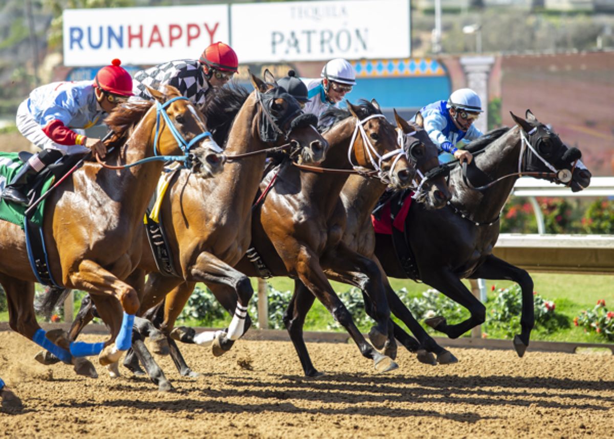 Del Mar-wagering menu