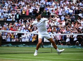 Novak Djokovic came back from a two-set deficit to beat Jannik Sinner and reach the semifinals at Wimbledon. (Image: IANS News)