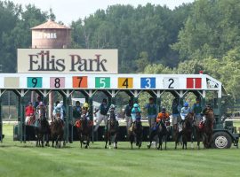 Bettors on Ellis Park wagers this Friday will enjoy penny breakage, meaning they will cash bigger tickets than horseplayers in other states. That's courtesy of a penny breakage bill that goes into effect Friday. (Image: Ellis Park)