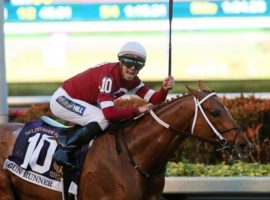 Gun Runner has made his progeny's connections smile like Florent Geroux did during the horse's final 2018 race: the Pegasus World Cup. Gun Runner is the top first- and second-crop sire in North America. (Image: Coglianese Photos/Zoe Metz)