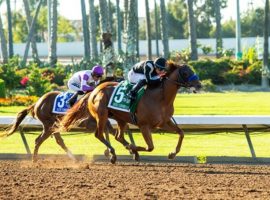 High Connection (5) turned aside favored Slow Down Andy to win Bob Baffert his fifth Los Alamitos Derby and first stakes race since his return from suspension.(Image: Benoit Photo)