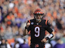 Joe Burrow from the Cincinnati Bengals during player introductions in an AFC North Division battle. (Image: Aaron Doster/AP)