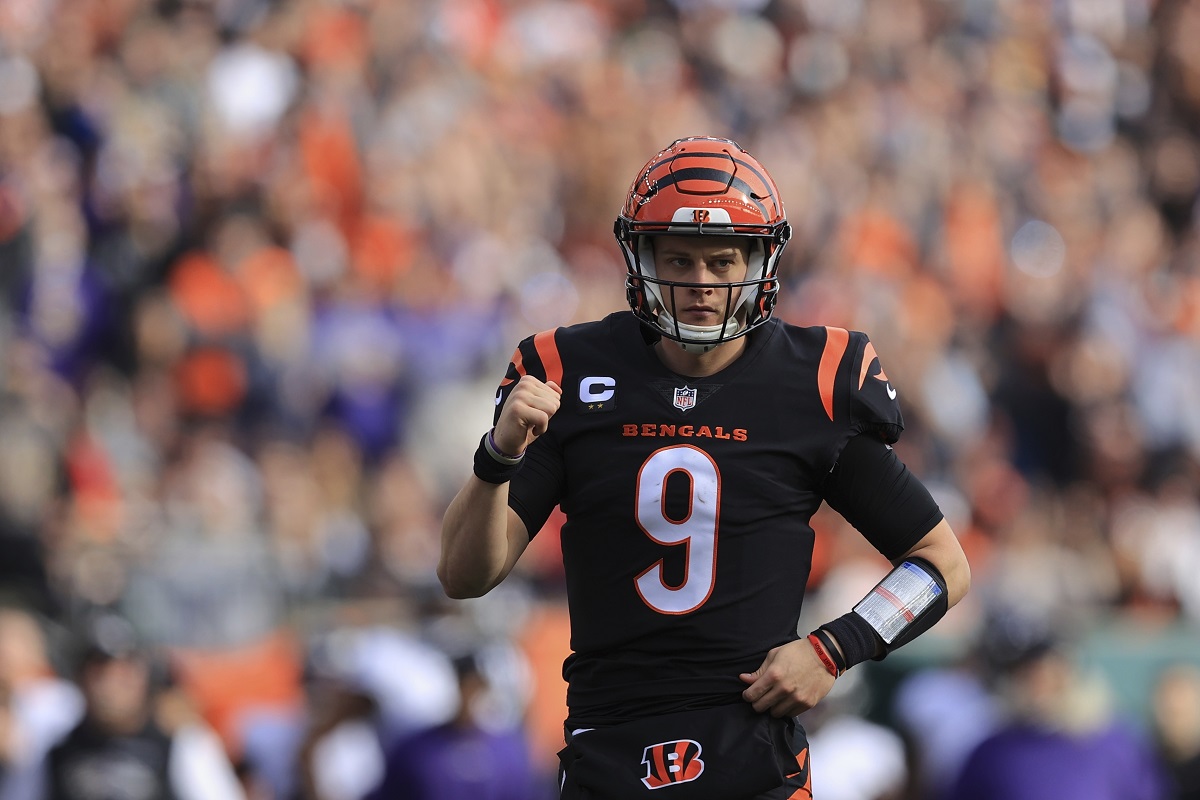 Cincinnati Bengals Pittsburgh Steelers Cleveland Browns AFC North Odds Baltimore Ravens