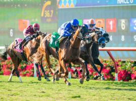 Mackinnon heads a 14-colt field into Friday's Oceanside Stakes, Del Mar's traditional opening day feature. The seaside track opens its 31-day meet Friday. (Image: Benoit Photo)