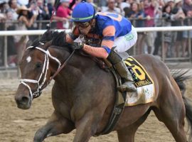 Belmont Stakes winner Mo Donegal suffered bone bruising coming out of the Belmont and will miss most of 2022. (Image: AJ Photo/NYRA.com)