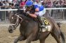 Belmont Stakes Winner Mo Donegal Sidelined With Bone Bruising