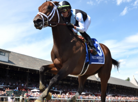 Nest finished all alone in Saturday's Grade 1 CCA Oaks -- 12 1/4 lengths ahead of her closest pursuer. The standout filly could run against the boys again in the Grade 1 Travers Stakes. (Image: NYRA Photo)