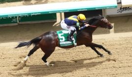 Grade 2 Alysheba winner Olympiad will take his share of wagers in Saturday's Grade 2 Stephen Foster at Churchill Downs. He is the 5/2 second choice on the morning line. (Image: Coady Photography)