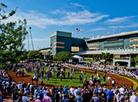 Santa Anita Park owns the record for largest Breeders' Cup crowd: more than 118,000 in 2016. The annual fall racing festival returns to Santa Anita for the 11th time in 2023. (Image: Benoit Photo)