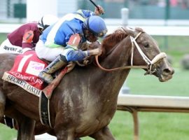 Secret Oath turned in a dominant performance in the Grade 1 Kentucky Oaks May 6. She has never lost to another filly in five races, a streak she puts on the line in Saturday's Grade 1 CCA Oaks at Saratoga. (Image: Coady Photography)