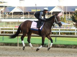 Shedaresthedevil owns three Grade 1 victories, including this 2020 score in the Kentucky Oaks. But she comes into Saturday's Grade 2 Fleur de Lis at Churchill Downs 0-for-her-last-5. (Image: Coady Photography)