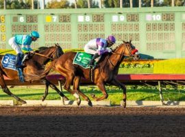 Slow Down Andy won December's Los Alamitos Futurity. He'll try adding the Los Alamitos Derby title when that race headlines Saturday's Los Alamitos card. (Image: Benoit Photo)