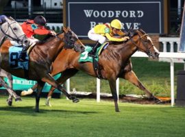 Breeders' Cup Juvenile Turf Sprint winner Twilight Gleaming captured her last race -- the Mamzelle Stakes at Churchill Downs -- at night. She is a strong favorite to win Friday's Coronation Cup at Saratoga. (Image: Coady Photography)